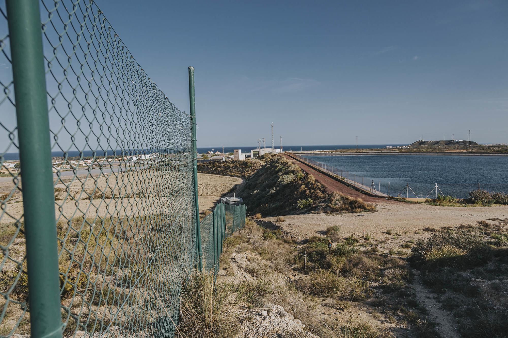 Trimestral 71 Palomares  - 7